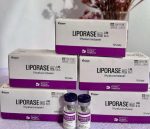 Liporase Hialuródinasa - Imagen 2